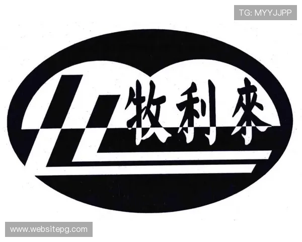 利来国际PA集团面临的主要挑战与应对策略全面分析