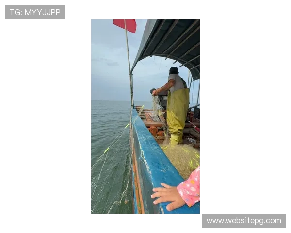 ag捕鱼网稳定运行保障，确保每一位玩家都能畅快捕鱼体验