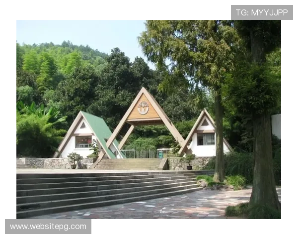 亚游ag下载详细教程，轻松掌握游戏下载与安装步骤